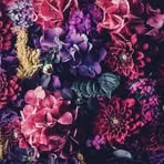 Ella Rios - Facebook