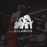 Ellarios Fight Team - @ellariosteam - Instagram