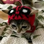Ella Robles - Facebook