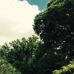 Ella Robson - @_ellas_photography - Instagram