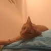 Ella - @ellarock - TikTok