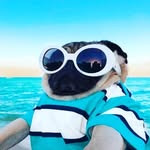 Luis Mejía - @ell_arojas - Instagram