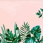 Ella Louise Rolfe - @that.crazy.r3d.h34d - Instagram