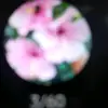 ELNA ROMANO - @elnaromano1 - TikTok