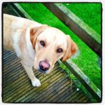 Ella Roper - @mad_snailz - Instagram