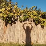 ࿔*:･Ella - @ella_rosenbergg - Instagram