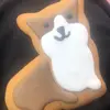 ella_aroush_tierra - @ella_aroush_tierra - TikTok
