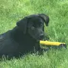 ellaruddy487 - @ellaruddy487 - TikTok