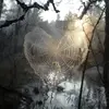 ella - @ella.ruderman - TikTok
