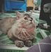 Ella Ruiz - Facebook
