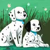 ellarule87 - @ellarule87 - TikTok