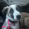Ella - @ellarussso - TikTok