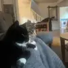 Ella Sachs - @brunnett_ella - TikTok