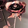 ellasal5 - @ellasal5 - TikTok