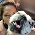 Ella Salisbury - @it_is_harley_and_buddy - Instagram