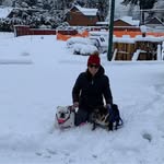 HarleyBuddy Salisbury - @ella_____salisbury - Instagram