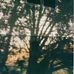 Ella Sams - Facebook