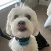 Ella Sanderson - @ella.sanderson13 - TikTok
