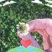 Ella Sargent - Facebook