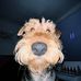 Ella Pieters-sauer - Facebook