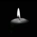 Ella Sauer - Facebook