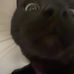 Ella Saunders - Facebook