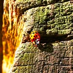 @ella_sayers_photography - Instagram