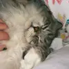 Ella Schaefer - @ellabella600 - TikTok