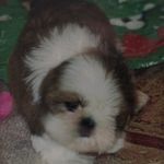 Ella Grace Schaeffer - @ellagrace1005 - Instagram