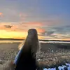 ella sheehan - @.ellasheehan - TikTok