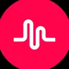 ⚡ella sheffield⚡ - @2k20musically - TikTok