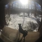 Ellen Sheffield - @eesheffield - Instagram