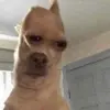 Ella shepherd - @ellashepherd89 - TikTok