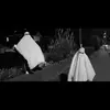 ella shorter - @ghost.like.people - TikTok