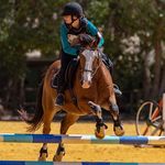 ella skinner - @dale.eventing - Instagram