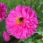Ellen Sprague Morris - @ellen_sprague_morris - Instagram