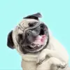 Ella Staples - @ellasplays.nz - TikTok
