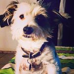 Ella - @_ella_stark_ - Instagram
