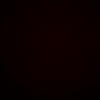 ellastauffer - @ellastaufferrr - TikTok