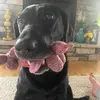 ella stephan - @ella.stephan066 - TikTok