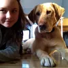 Ella.Stephan - @ella.stephan - TikTok