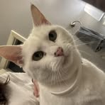 Ella Stover - Facebook