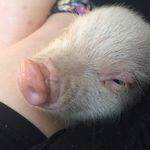 Ella Stover -wright - @ellastoverwright - Instagram