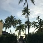 @ella.strangee_ - Instagram
