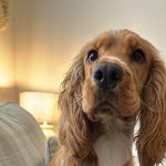 Ella-Rose Stringer - @ellarosestringer - Instagram