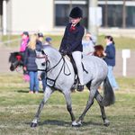 Ella Stringer🐴❤️❤️ - @ellastringer_riley - Instagram