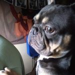 Ella Mae Strother - @e235670 - Instagram