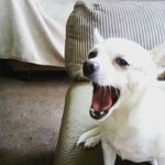 Ella Strother - @ella.strother.75 - Instagram
