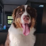 Ella Stroud - @ella.stroud.359 - Instagram