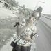 Ella Sylvester - Facebook